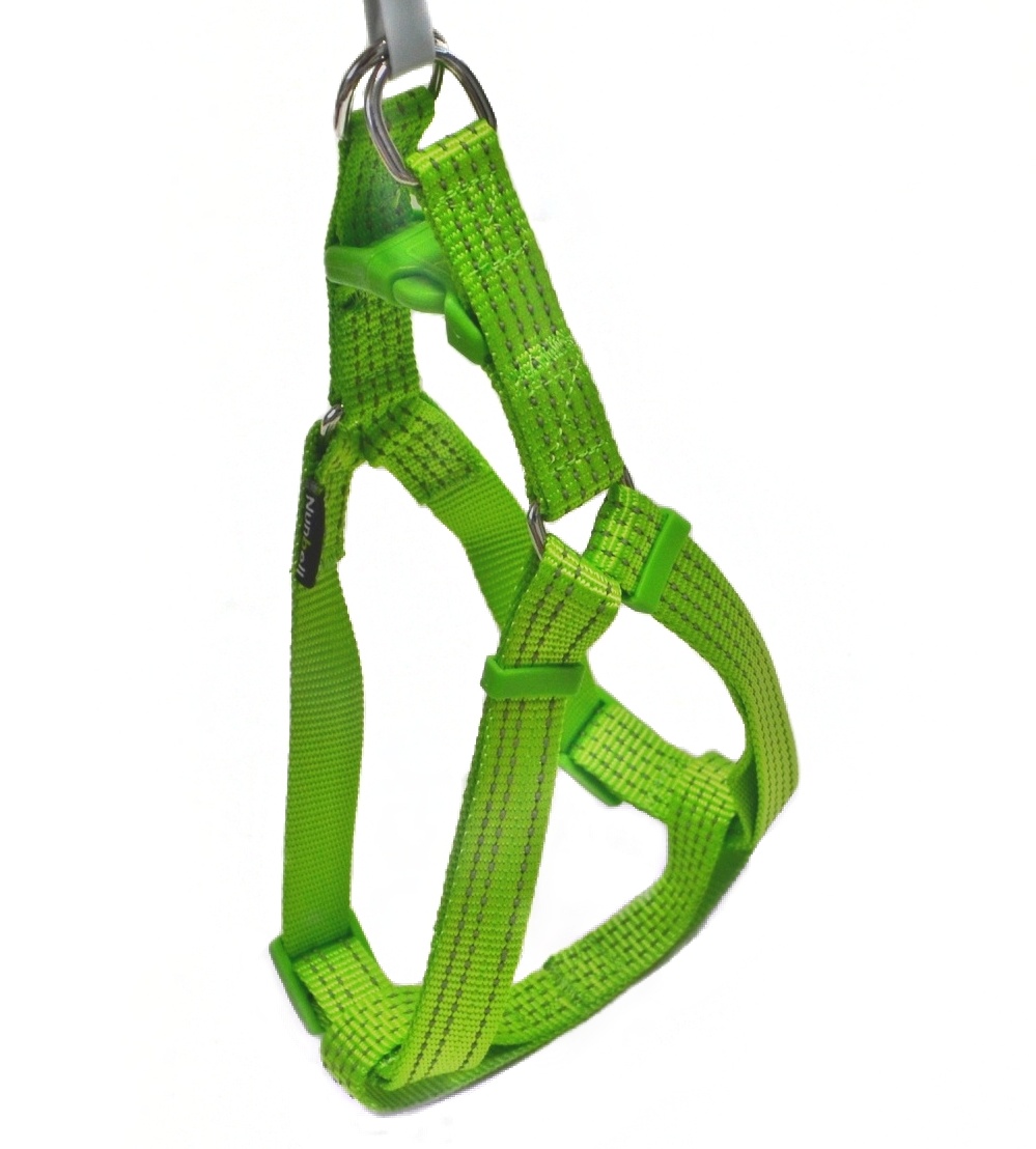 Шлейка Nunbell 20мм*42-63см нейлон Зеленый со светоотражающей нитью