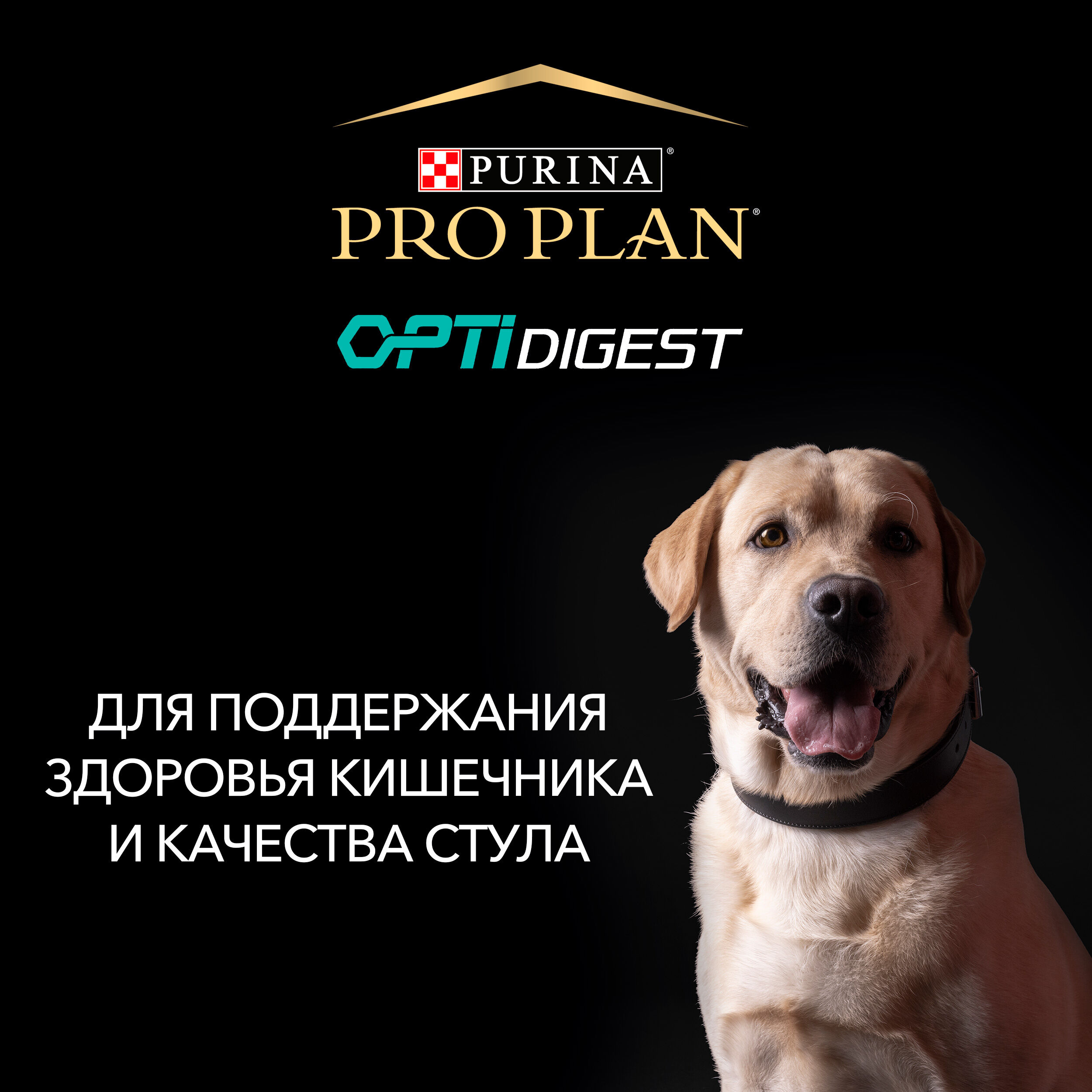 Сухой корм PRO PLAN® SENSITIVE DIGESTION для щенков средних пород с чувствительным пищеварением, с высоким содержанием ягненка, 3 кг