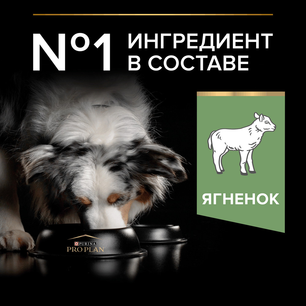 Сухой корм PRO PLAN® для взрослых собак средних пород с чувствительным пищеварением, с высоким содержанием ягненка, 2.5 кг + 500 г в подарок