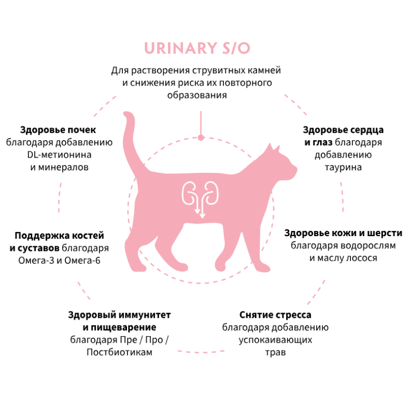 Grandorf Veterinary Diet Cat Urinary S/O 2кг для Кошек при мочекаменной болезни