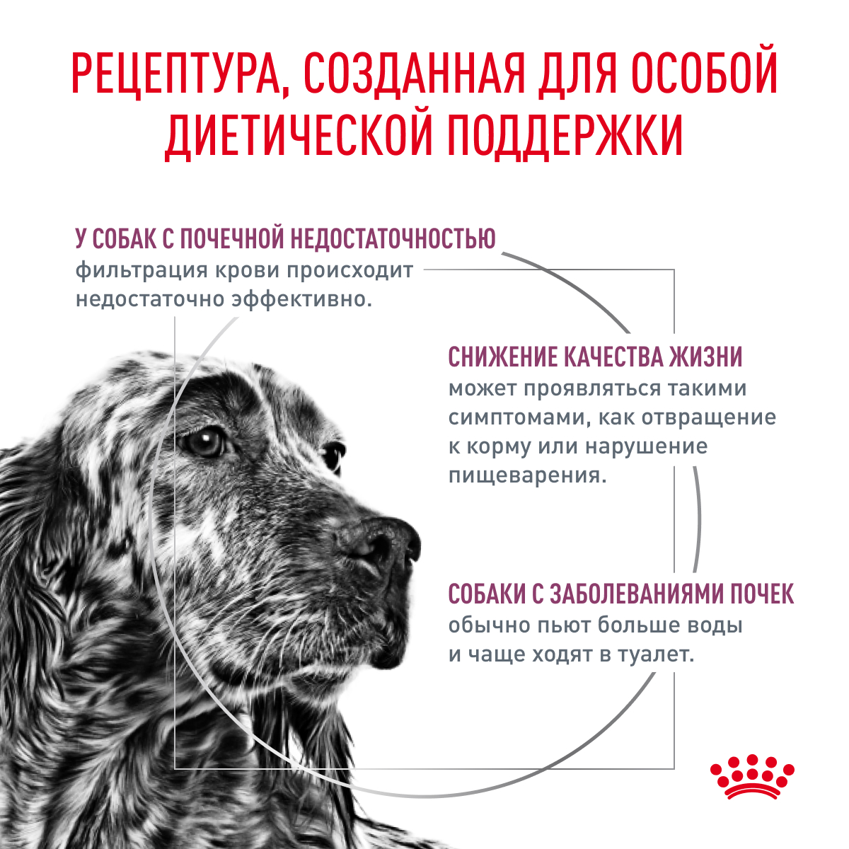 Royal Canin Renal  2кг (DOG Veterinary)