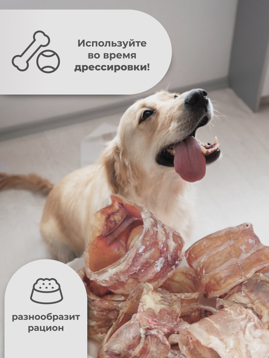 Лакомство Holistic (МХ) Трахея Говяжья малая