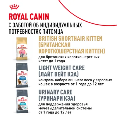 Royal Canin British shorthair 400г