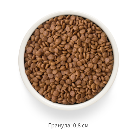 Grandorf FRESH ADULT для Кошек Утка с бататом 2кг