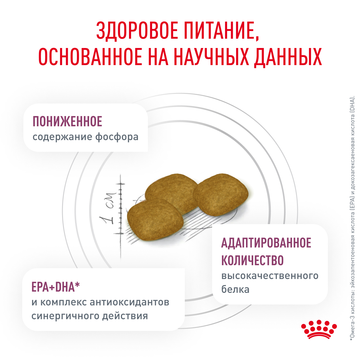 Royal Canin Renal  2кг (DOG Veterinary)