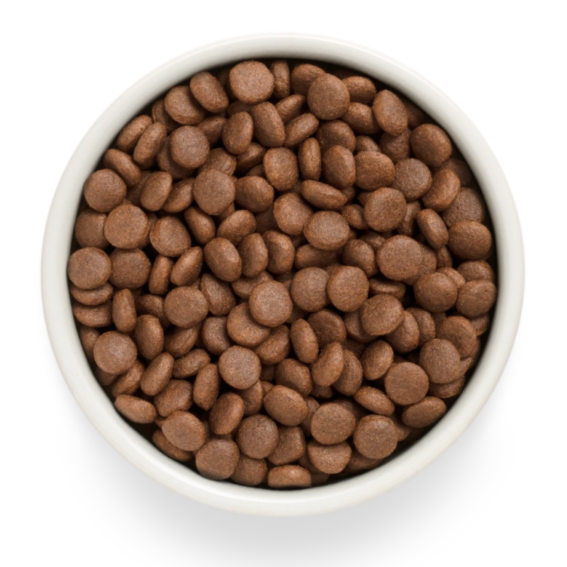 Grandorf FRESH для Собак средних и крупных пород Лосось с Бататом 10кг