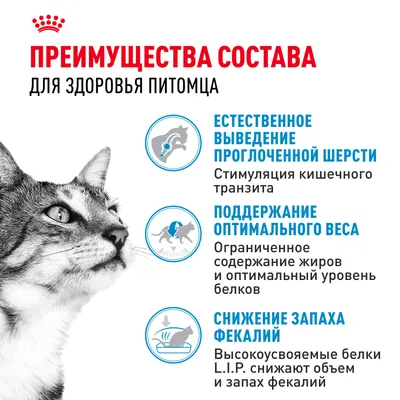 Royal Canin INDOOR 4кг