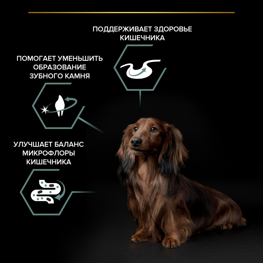 Сухой корм PRO PLAN® для взрослых собак мелких и карликовых пород с чувствительным пищеварением, с высоким содержанием ягненка, 2.5 кг + 500 г в подарок