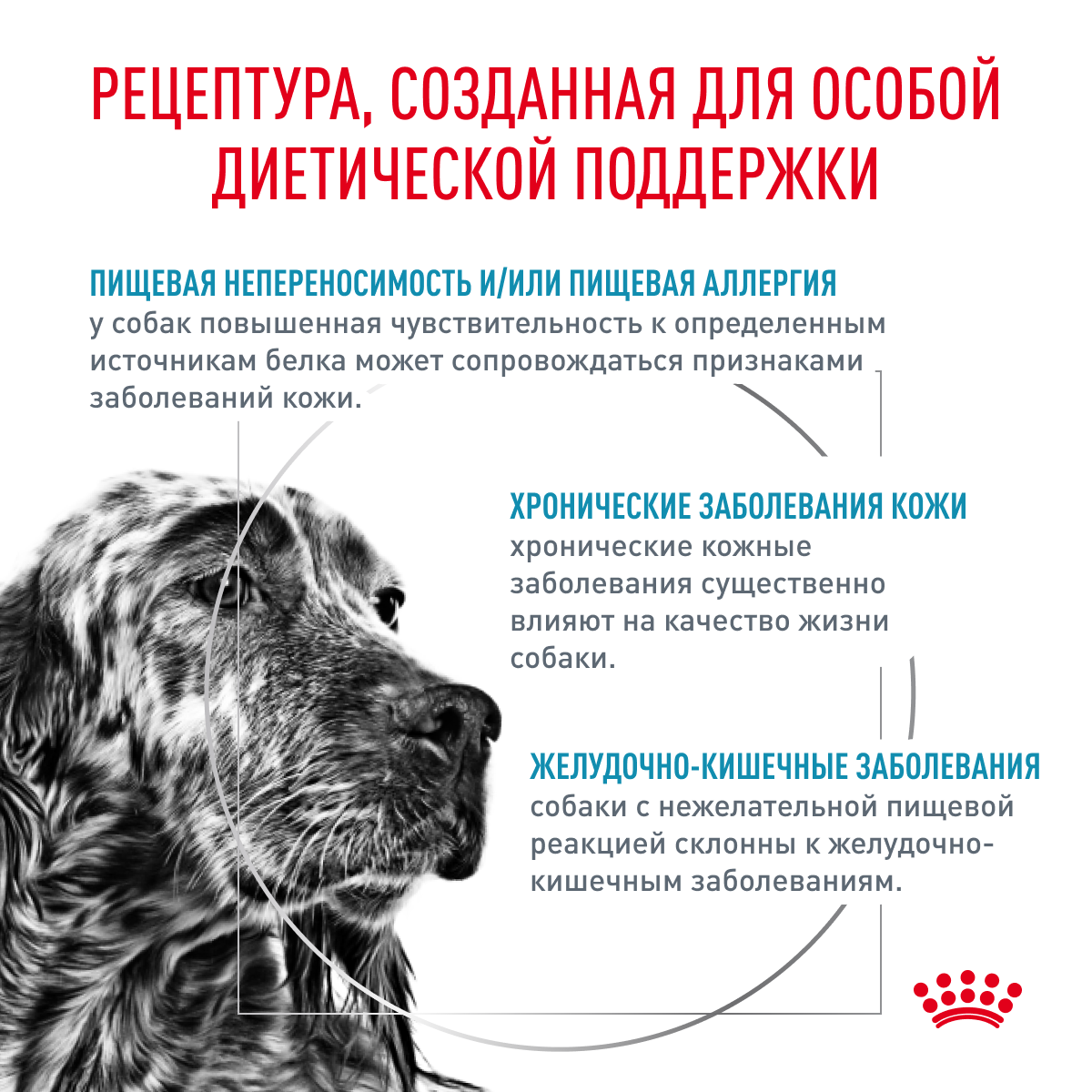 Royal Canin SENSITIVITY control 7кг (DOG Veterinary)