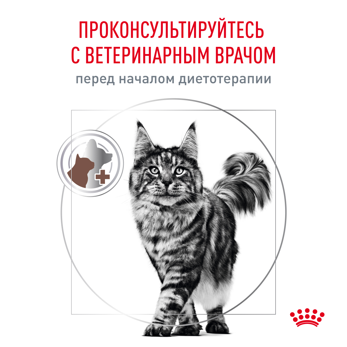 Royal Canin GASTRO INTESTINAL moderator calorie 2кг