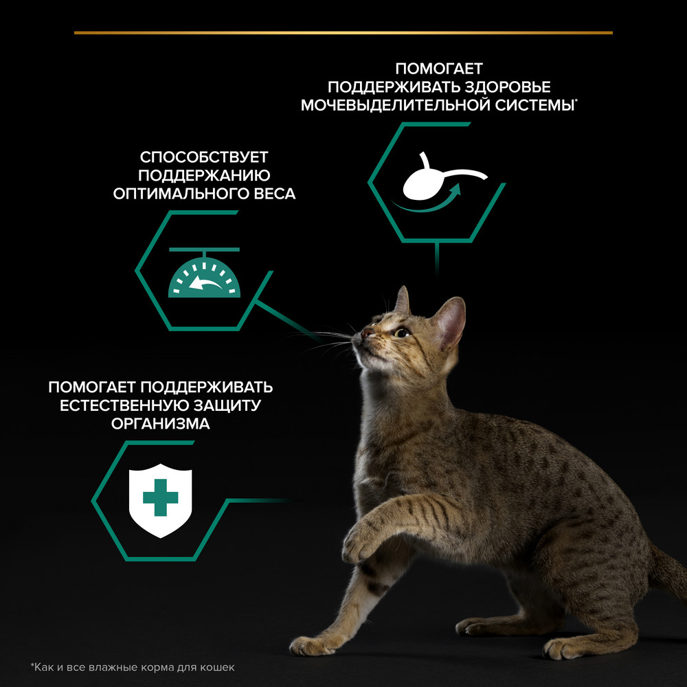 Влажный корм PRO PLAN для взрослых стерилизованных кошек, с лососем в соусе, 85г