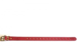 Ошейник Аркон 35мм*46-60см Красный Универсальный