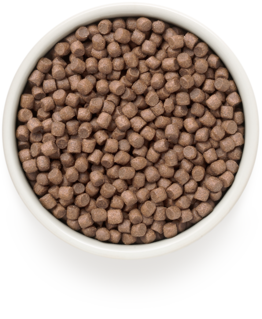 Grandorf для Собак мелких пород Белая рыба с рисом 3кг