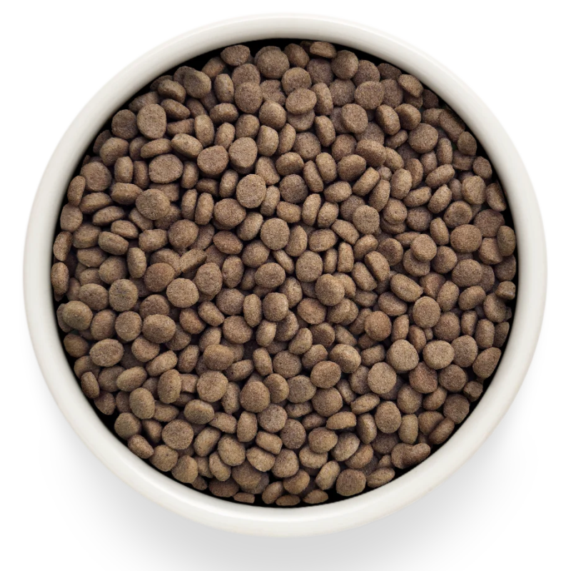 Grandorf Veterinary Diet Cat Dermatosis 400г для Кошек с заболеваниями кожи