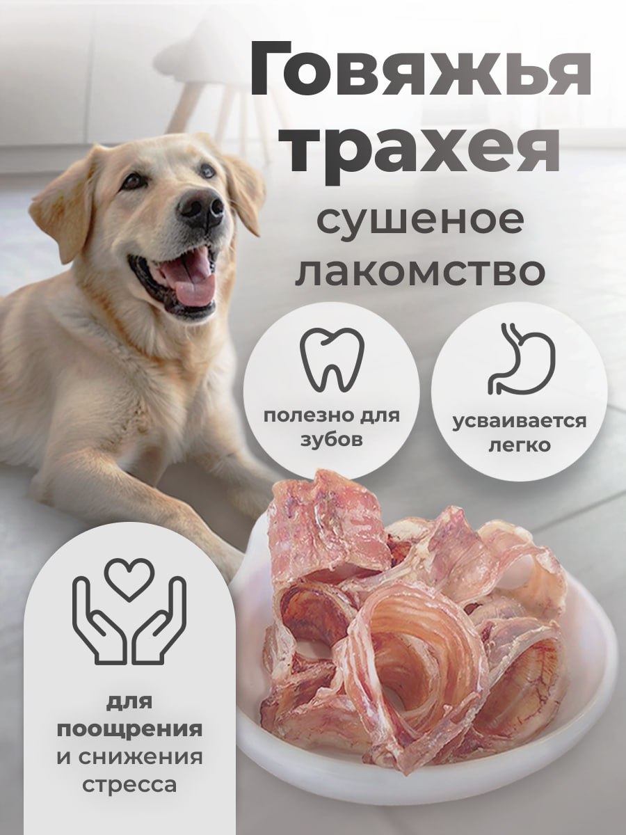 Лакомство Holistic (МХ) Трахея Говяжья малая