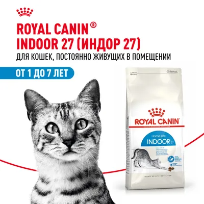 Royal Canin INDOOR 4кг