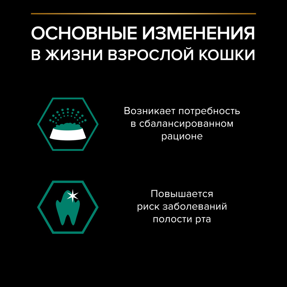 Влажный корм PRO PLAN для взрослых кошек, кусочки с курицей в соусе, 85г