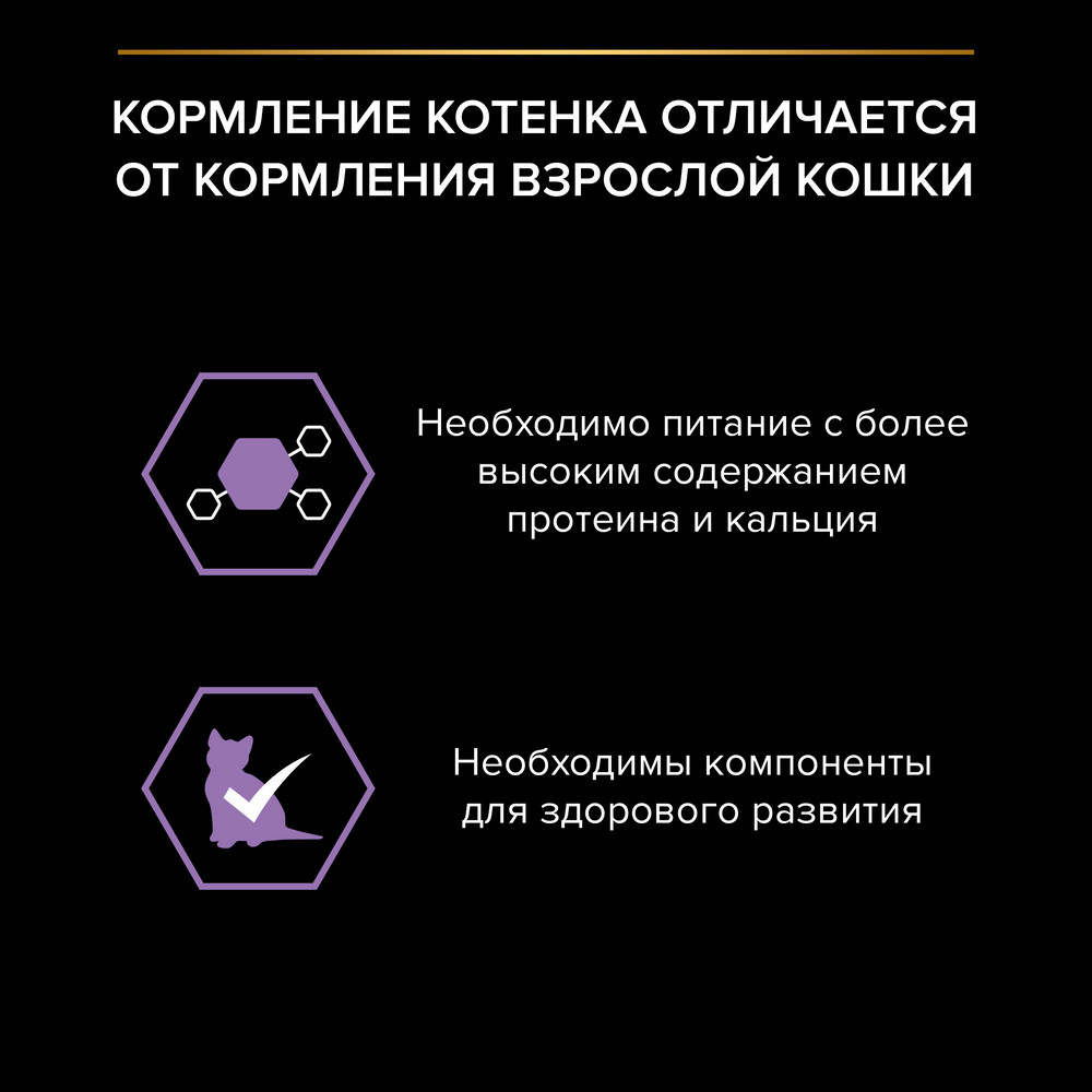 Влажный корм PRO PLAN для котят, беременных и кормящих кошек, кусочки с лососем в соусе, 85г