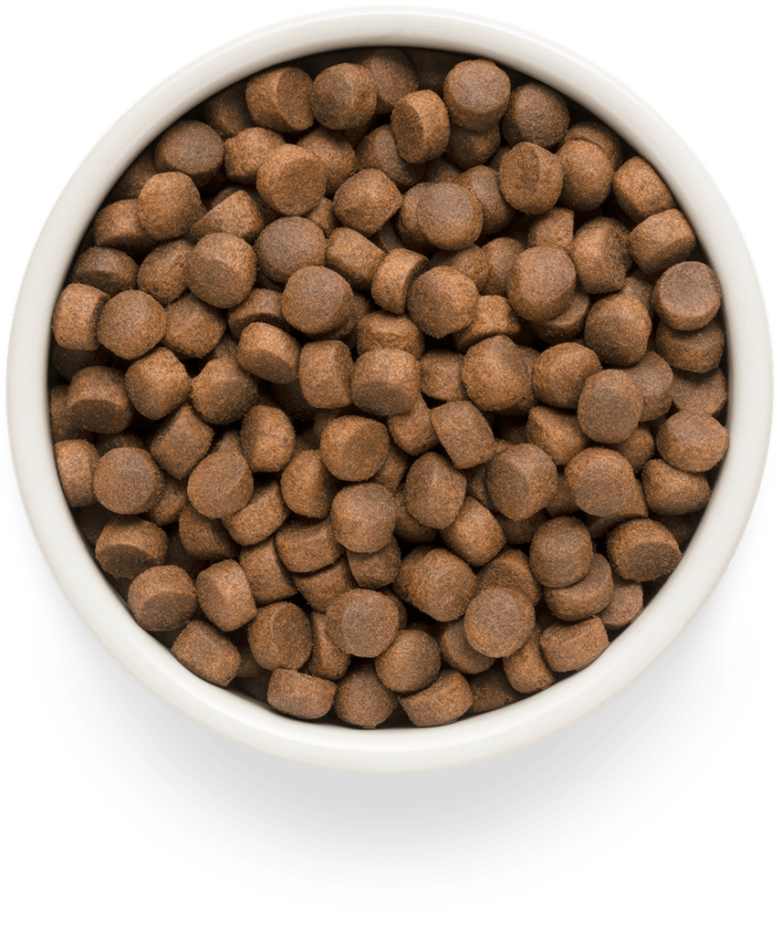 Premier Cat Adult Large Lamb&Turkey 2кг