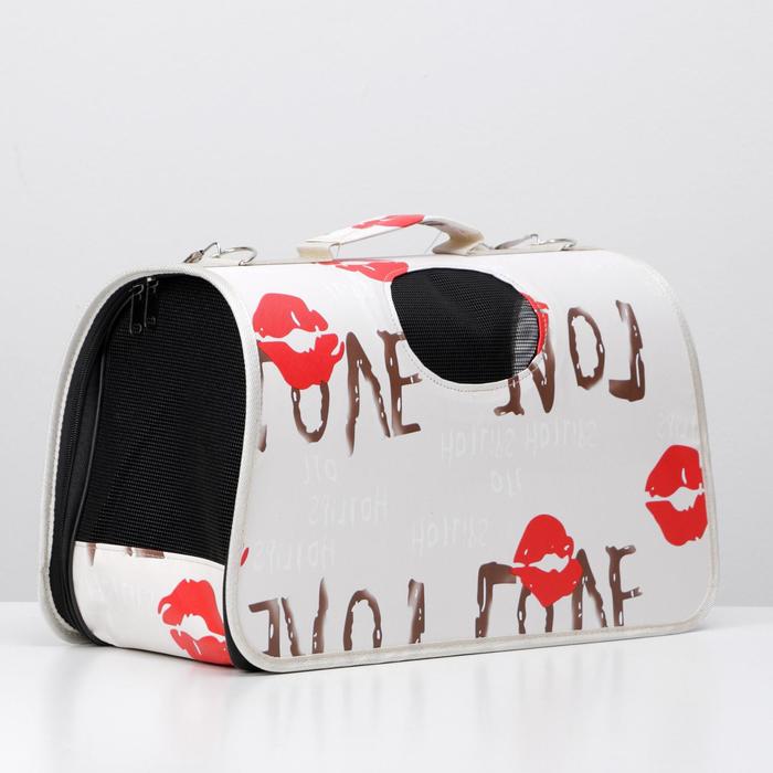 Сумка-переноска TopPet Color M (43х30х23см)