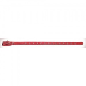 Ошейник Аркон 25мм*40-54см Красный Универсальный