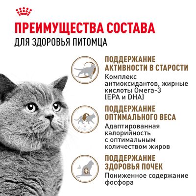 Royal Canin STERILISED +12 2кг