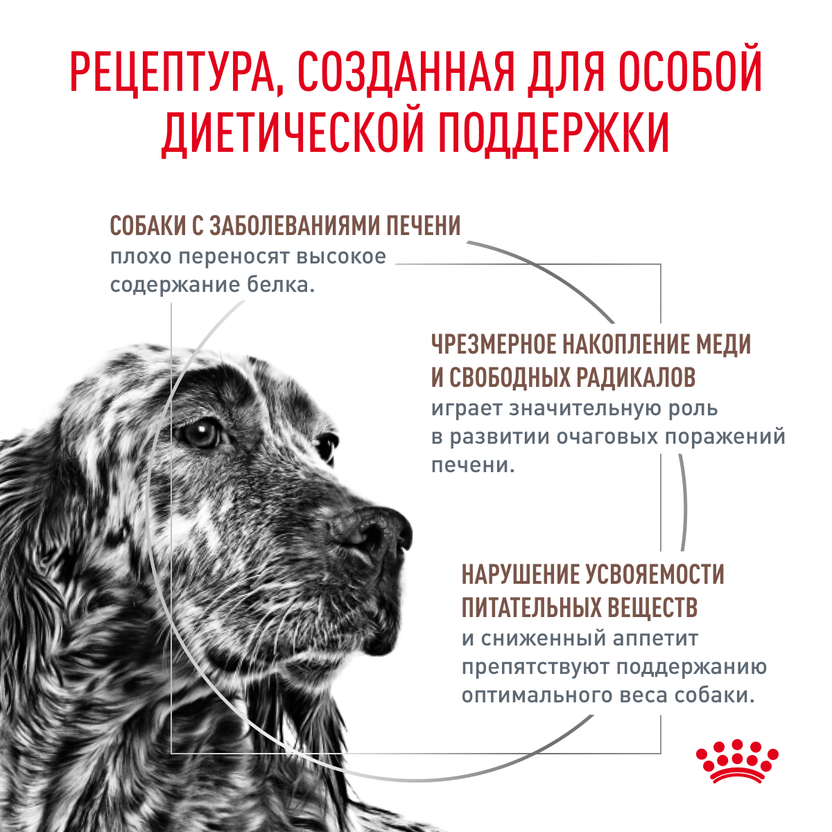 Royal Canin HEPATIC 12кг (DOG Veterinary)