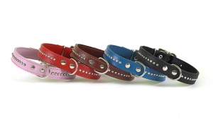 Ошейник 12 Одинарный Цветной Стразы О 12 60 00 Ц