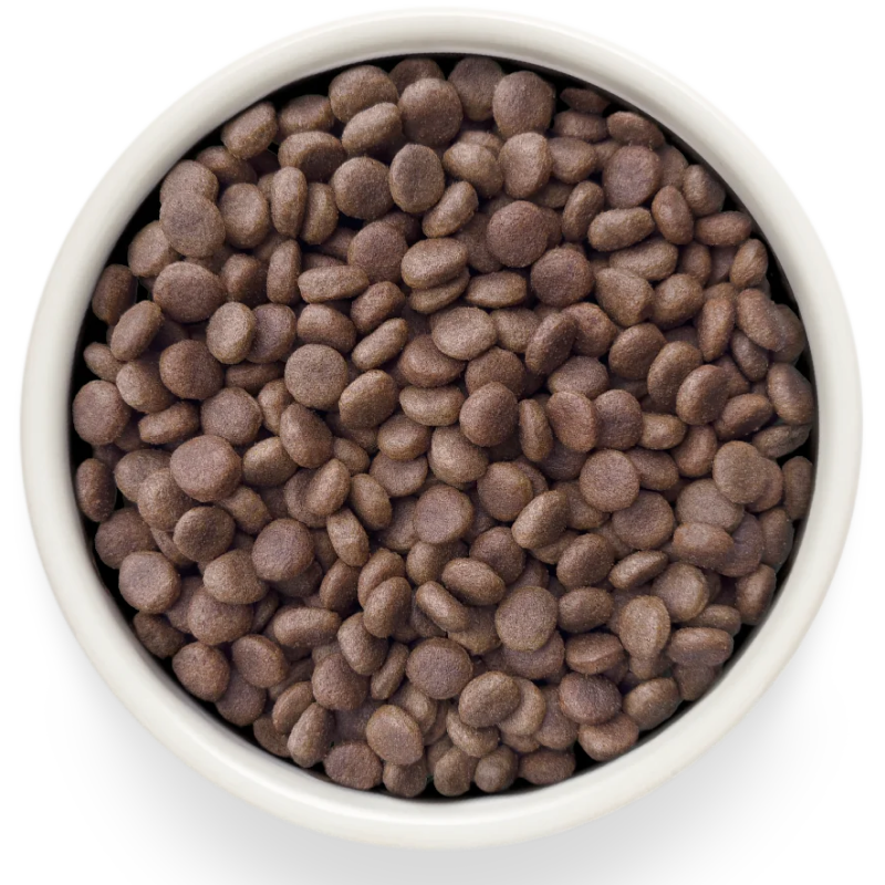 Grandorf Veterinary Diet Dog Hypoallergenic 3кг для Собак с пищевой аллергией или непереносимостью