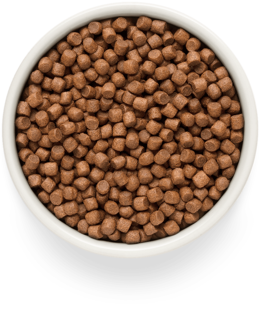 Grandorf FRESH для Собак мелких пород Лосось с бататом 3кг