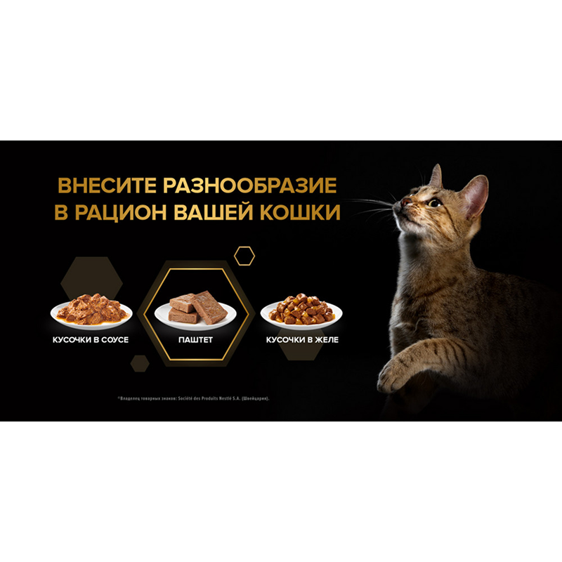 пауч ProPlan KITTEN с Индейкой паштет