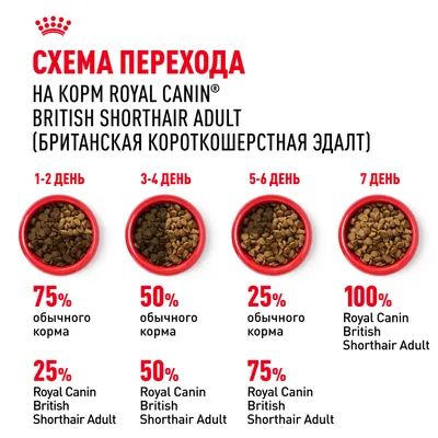 Royal Canin British shorthair 400г