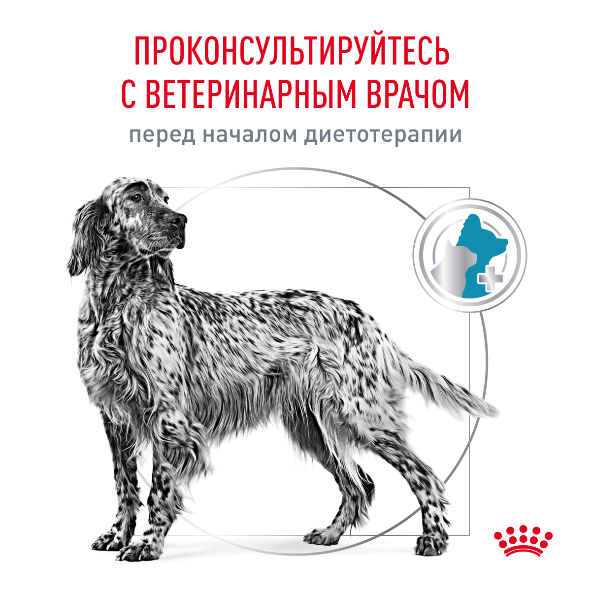 Royal Canin SENSITIVITY control 7кг (DOG Veterinary)