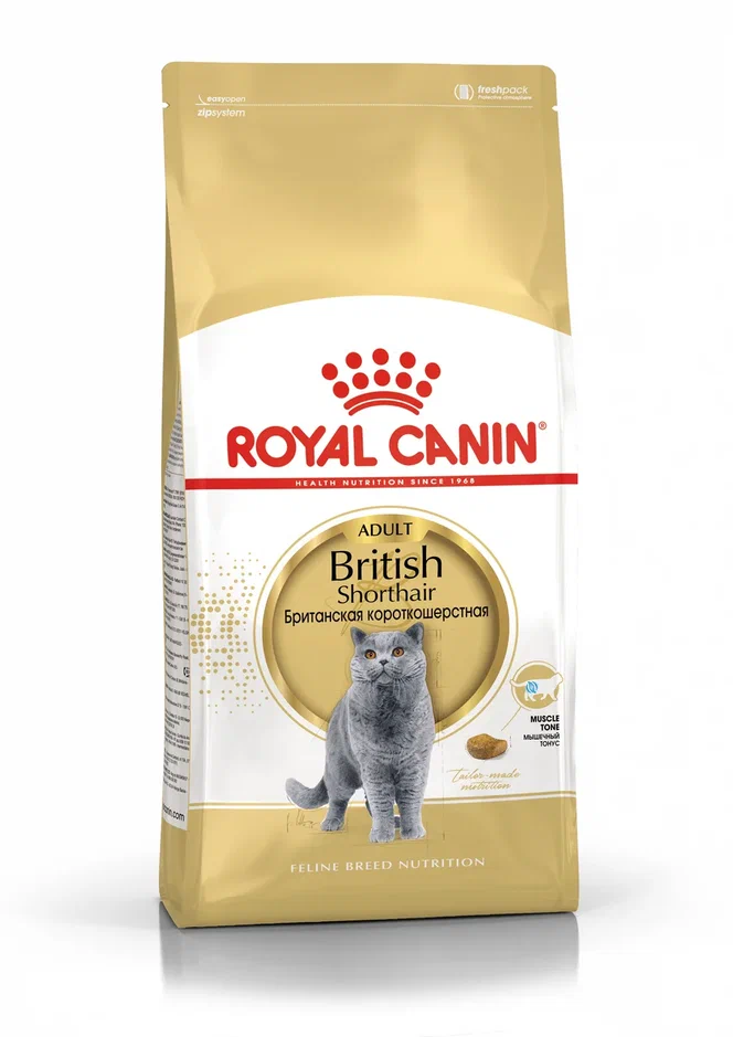 Royal Canin British shorthair 2,0