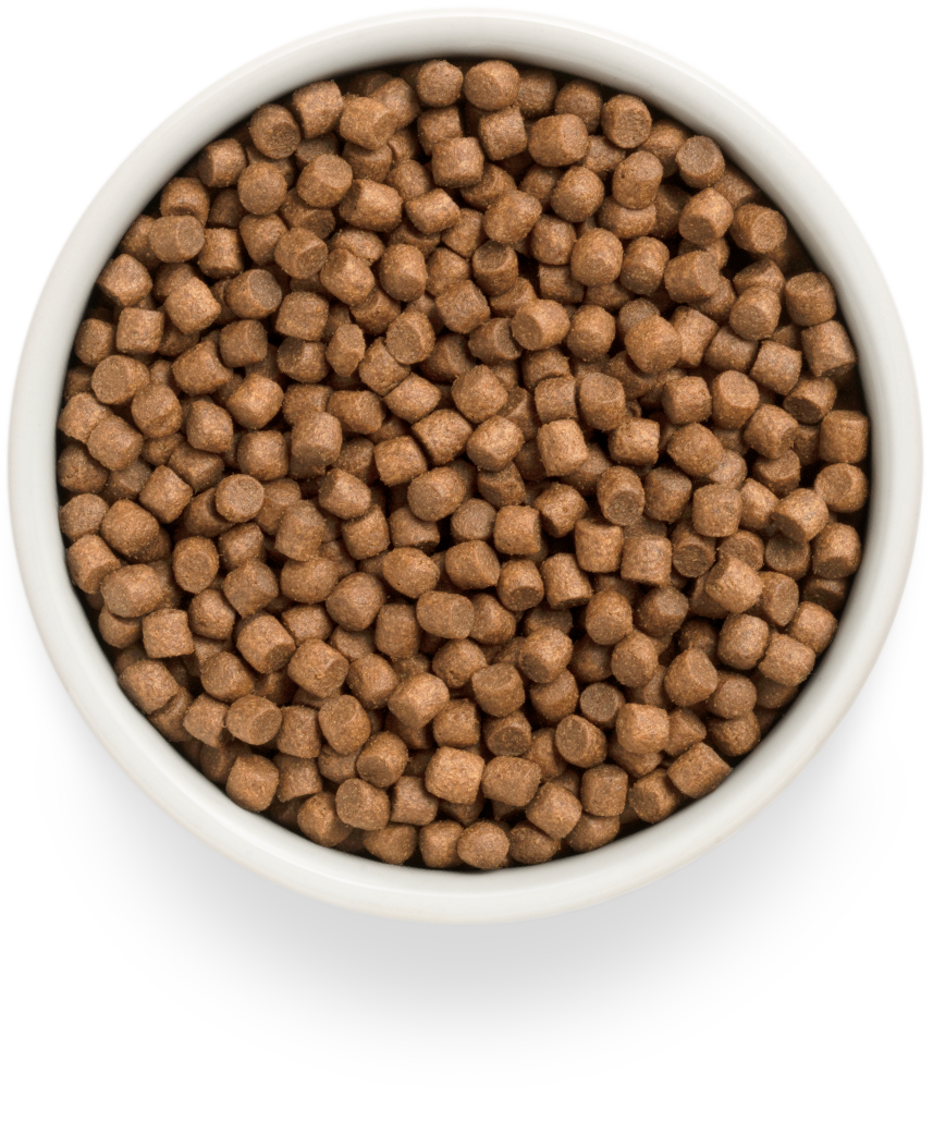 Grandorf FRESH для Щенков всех пород Ягненок с бататом 3кг