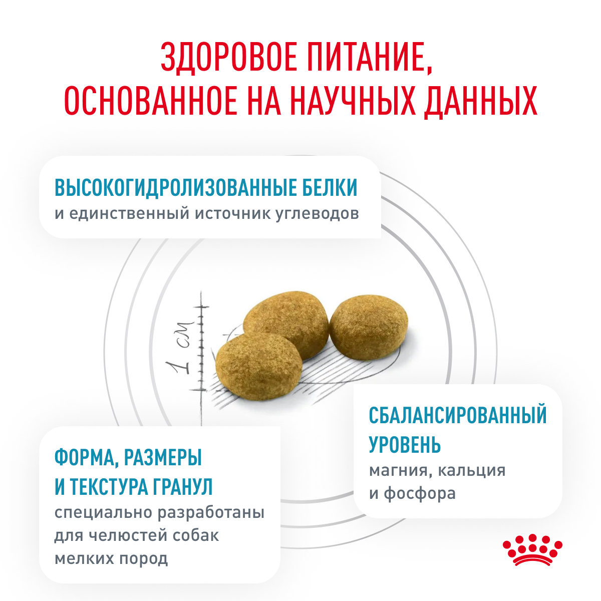 Royal Canin HYPOALLERGENIC Small Dog ХСД 24 1,0 (Dog Veterinary)