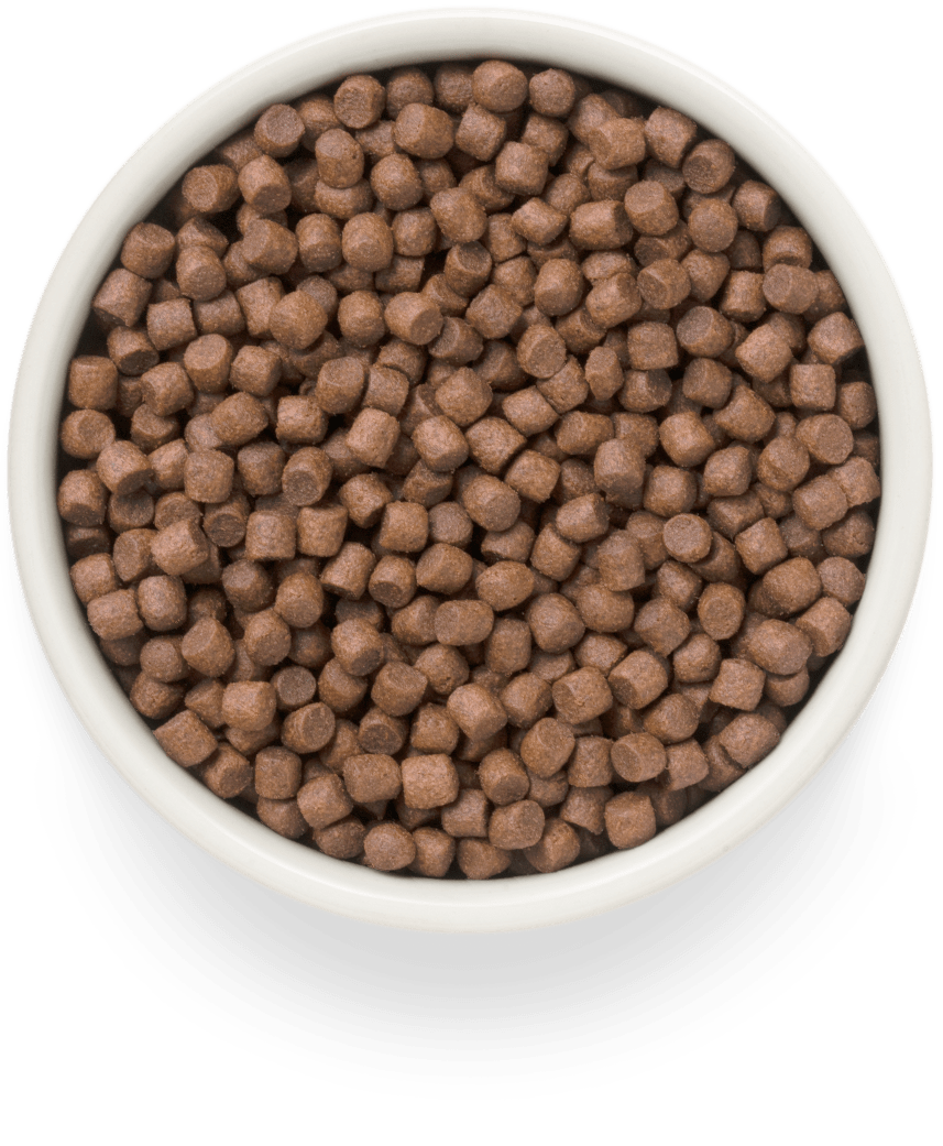 Grandorf FRESH для Собак мелких пород Утка с бататом 1кг