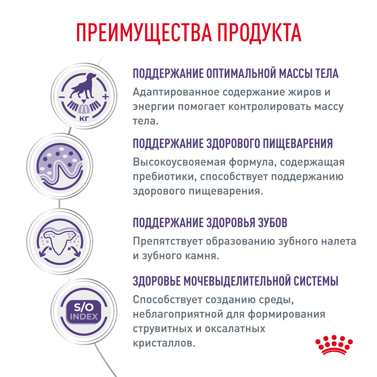 Royal Canin NEUTRED ADULT SMALL DOG 3,5кг (DOG Veterinary)