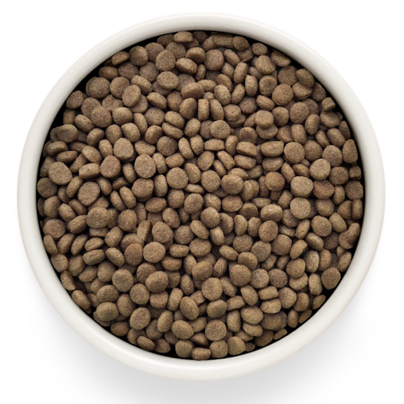 Grandorf Veterinary Diet Cat Gastrointestinal Moderate Calorie 2кг для Кошек склонных к набору веса