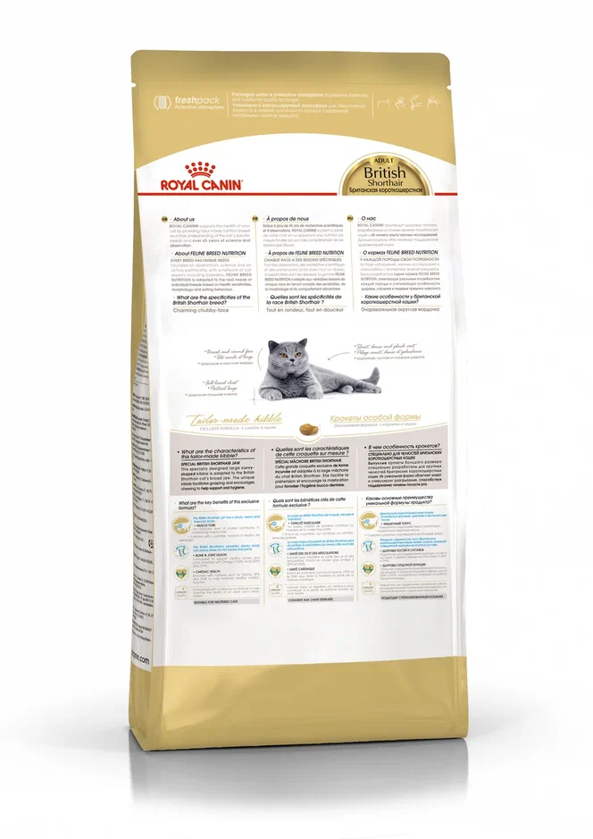 Royal Canin British shorthair 10.0