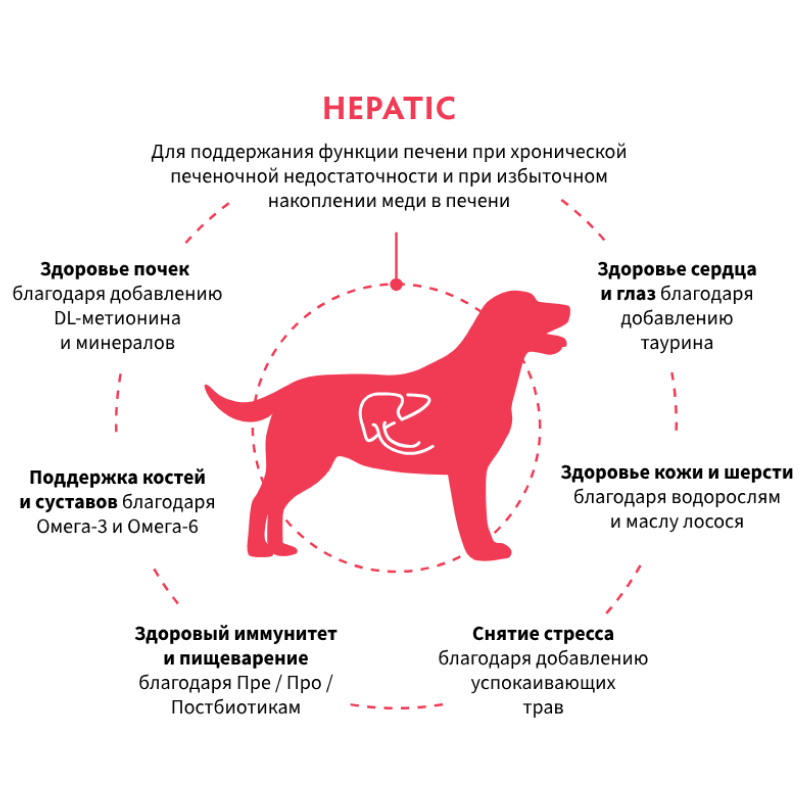 Grandorf Veterinary Diet Dog Hepatic 3кг для Собак, для поддержания функций печени при ХПН