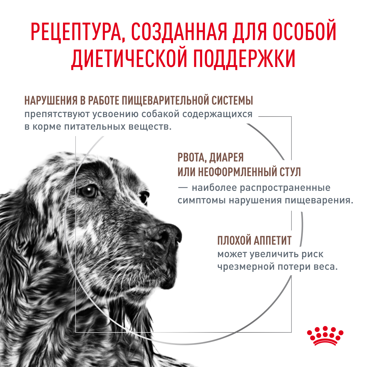 Royal Canin GASTRO INTESTINAL 15кг (DOG Veterinary)