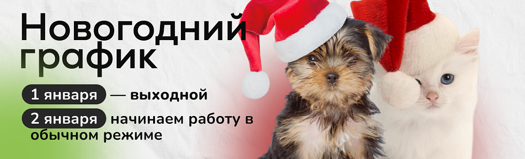 график работы в нг празники