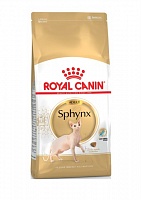 Royal Canin Sphynx 10,0*