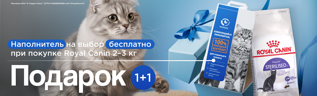 Holistic в подарок