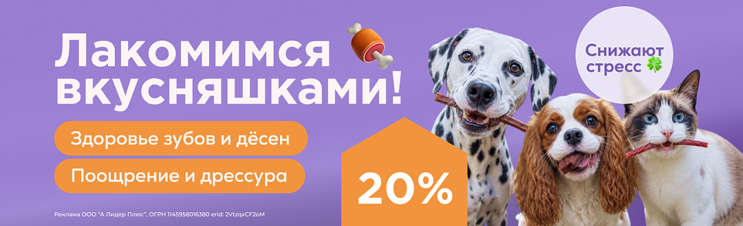 Акция 20% TiTBiT