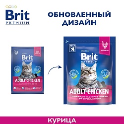 Brit premium cat adult chicken best sale