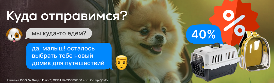 Переноски до 40%