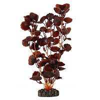 Растение Laguna 2594 "Щитолистник" коричневый, 25см